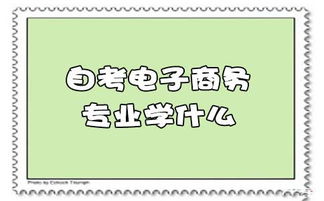 电子商务师专业考试难吗